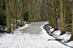 Hampstead Heath winter2