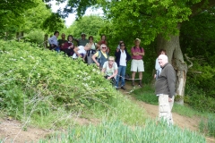 Group on walk