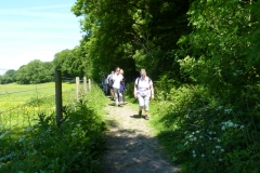 On a trail