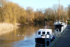 River XXX
