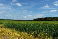 View over...